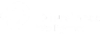 idbi